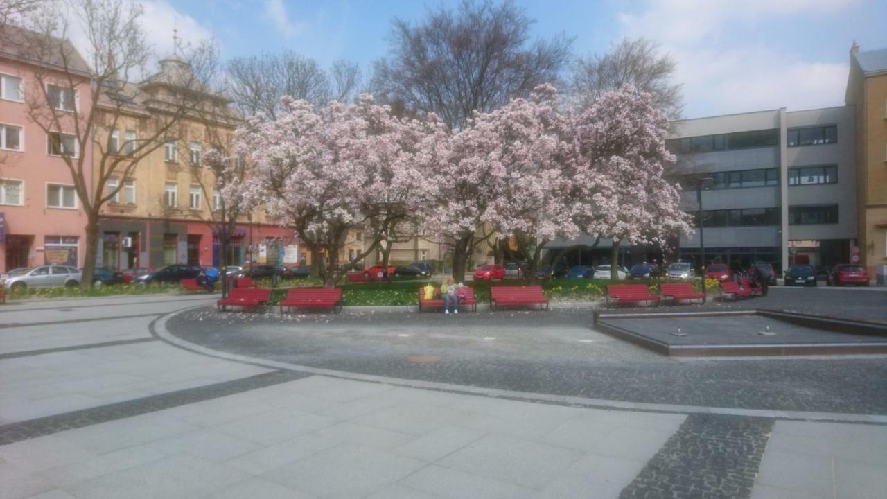 Apartment Belvedere Ostrava Bagian luar foto